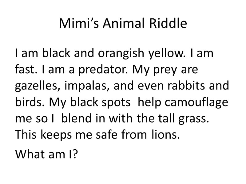 Mimi’s Animal Riddle I am black and orangish yellow. I am fast. I am